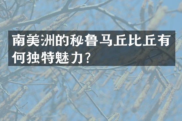 南美洲的秘鲁马丘比丘有何独特魅力？