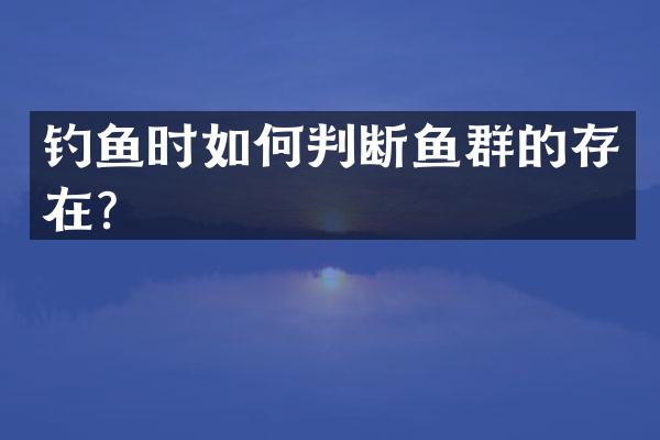 钓鱼时如何判断鱼群的存在？