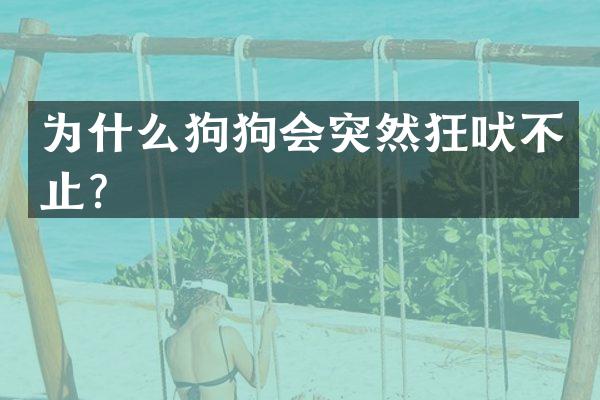 为什么狗狗会突然狂吠不止？