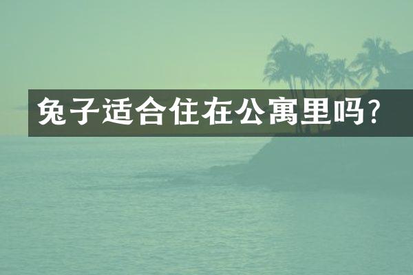 兔子适合住在公寓里吗？