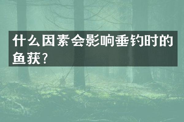 什么因素会影响垂钓时的鱼获？