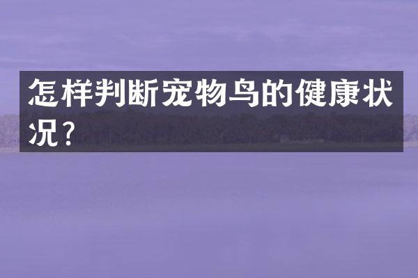 怎样判断宠物鸟的健康状况？