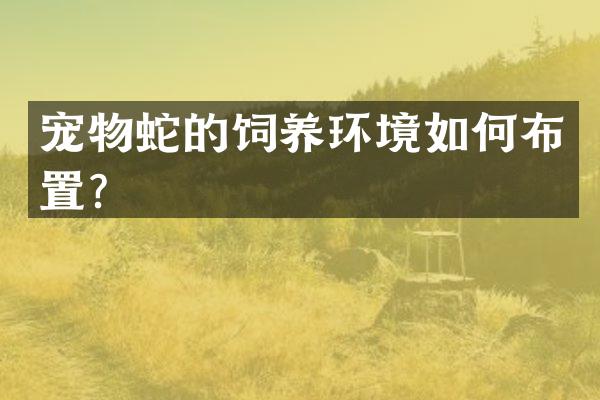 宠物蛇的饲养环境如何布置？