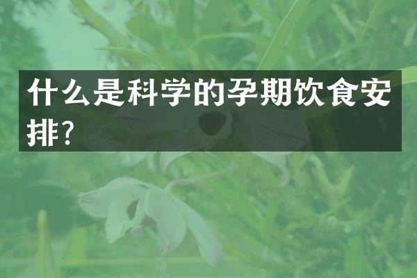 什么是科学的孕期饮食安排？