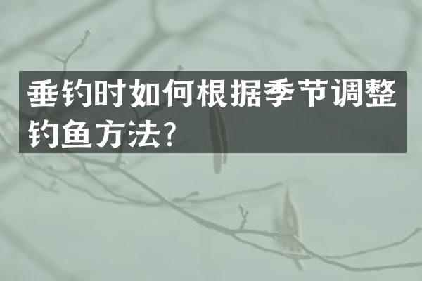 垂钓时如何根据季节调整钓鱼方法？
