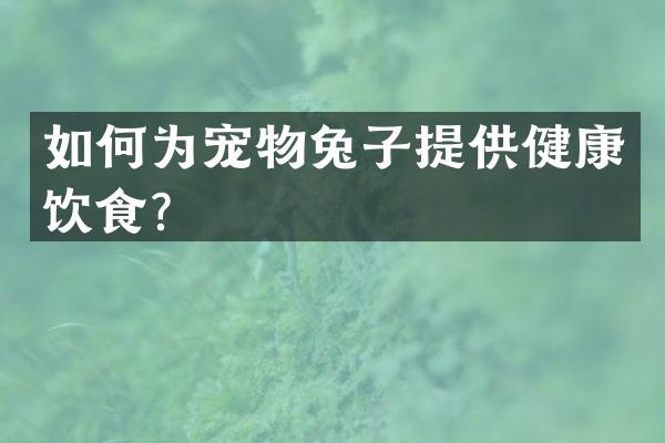如何为宠物兔子提供健康饮食？