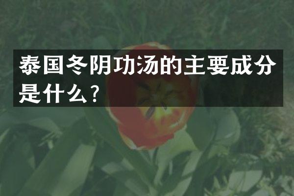 泰国冬阴功汤的主要成分是什么？