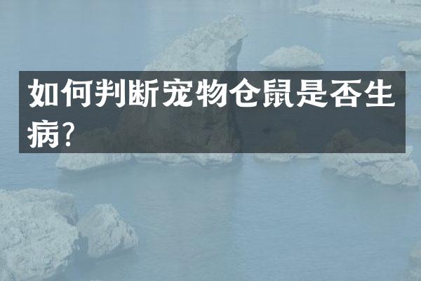 如何判断宠物仓鼠是否生病？