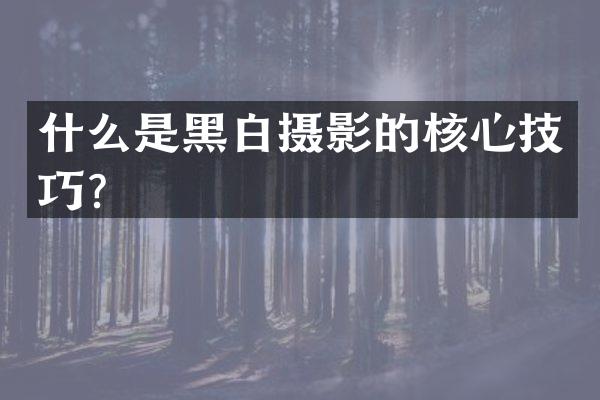 什么是黑白摄影的核心技巧？
