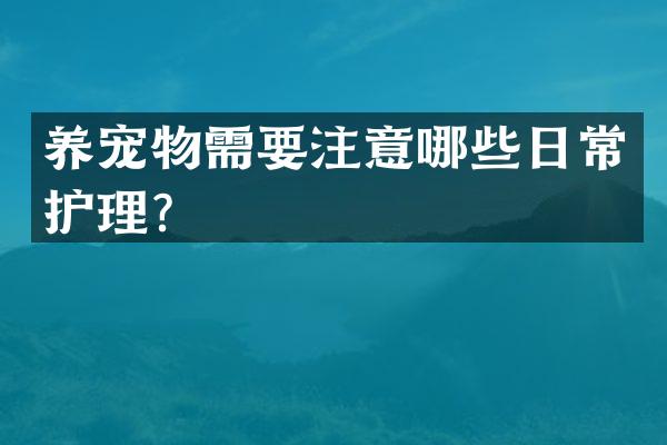 养宠物需要注意哪些日常护理？