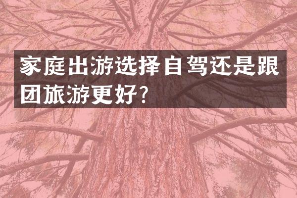 家庭出游选择自驾还是跟团旅游更好？