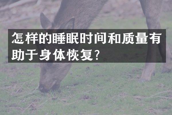 怎样的睡眠时间和质量有助于身体恢复？