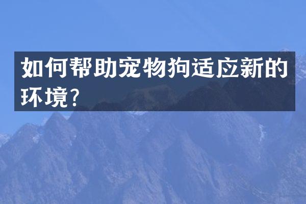 如何帮助宠物狗适应新的环境？