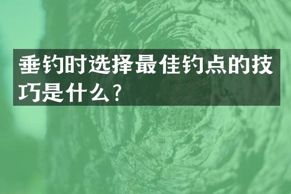 垂钓时选择最佳钓点的技巧是什么？