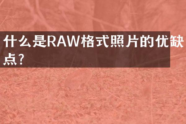 什么是RAW格式照片的优缺点？