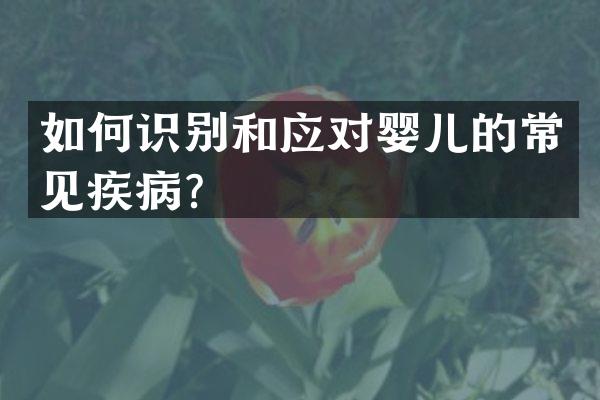 如何识别和应对婴儿的常见疾病？