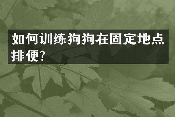 如何训练狗狗在固定地点排便？