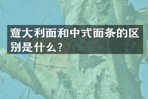 意大利面和中式面条的区别是什么？