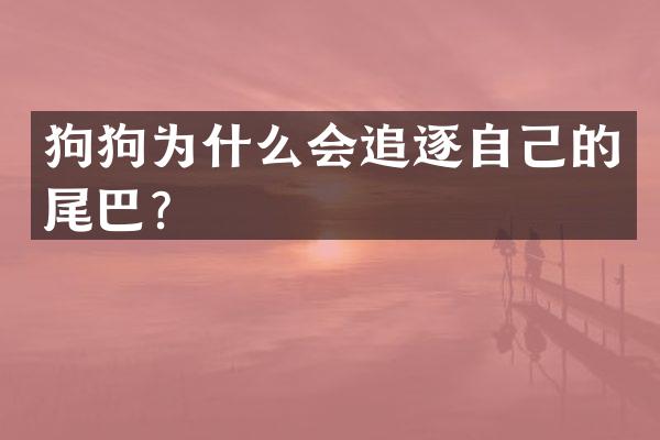 狗狗为什么会追逐自己的尾巴？