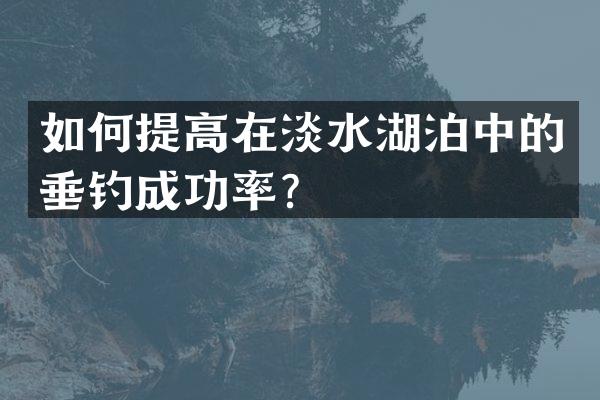 如何提高在淡水湖泊中的垂钓成功率？