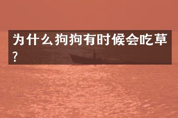为什么狗狗有时候会吃草？