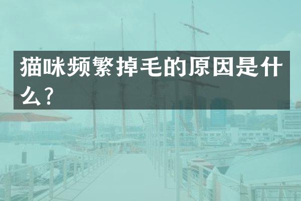 猫咪频繁掉毛的原因是什么？