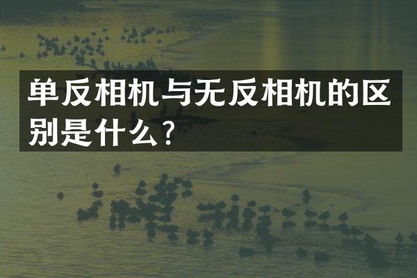 单反相机与无反相机的区别是什么？