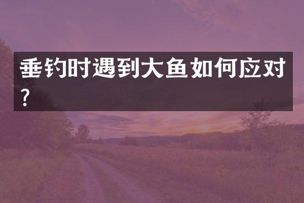 垂钓时遇到大鱼如何应对？