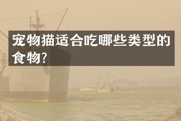 宠物猫适合吃哪些类型的食物？