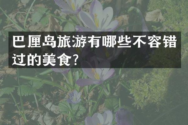 巴厘岛旅游有哪些不容错过的美食？