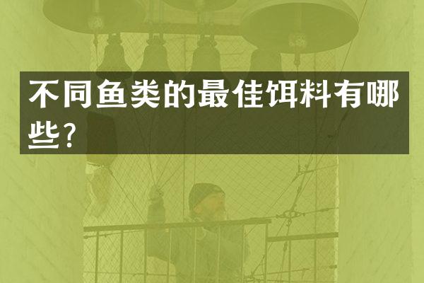 不同鱼类的最佳饵料有哪些？