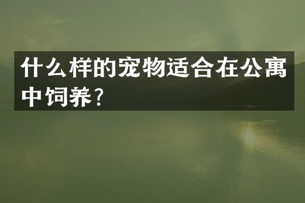 什么样的宠物适合在公寓中饲养？