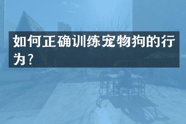 如何正确训练宠物狗的行为？