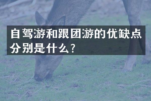 自驾游和跟团游的优缺点分别是什么？