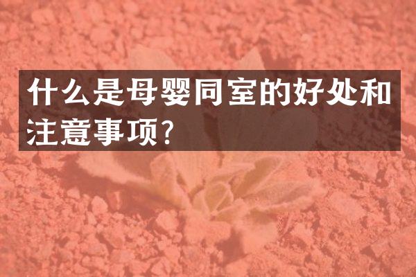 什么是母婴同室的好处和注意事项？