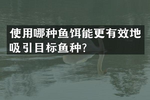 使用哪种鱼饵能更有效地吸引目标鱼种？