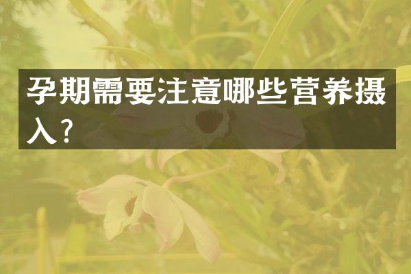 孕期需要注意哪些营养摄入？