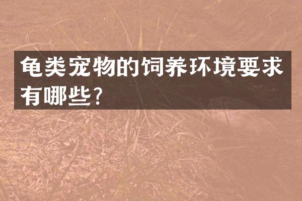 龟类宠物的饲养环境要求有哪些？