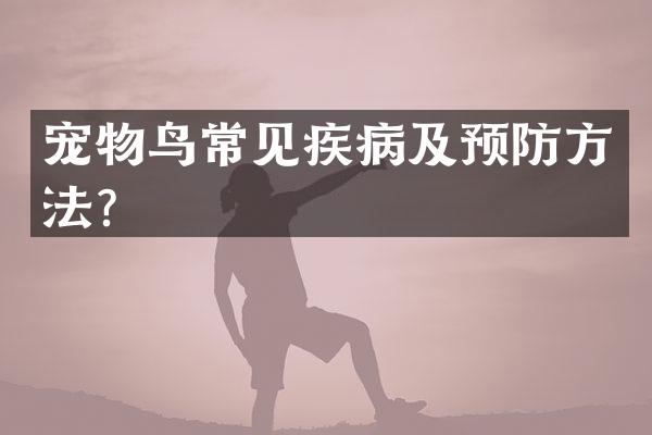宠物鸟常见疾病及预防方法？