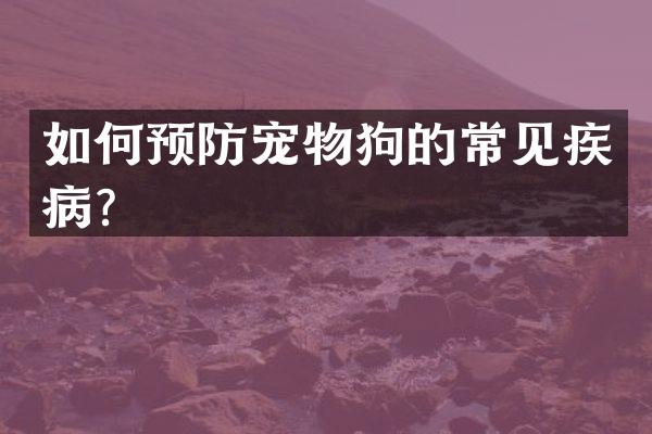如何预防宠物狗的常见疾病？