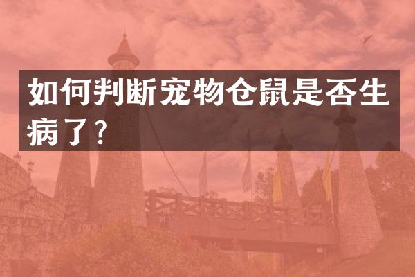 如何判断宠物仓鼠是否生病了？