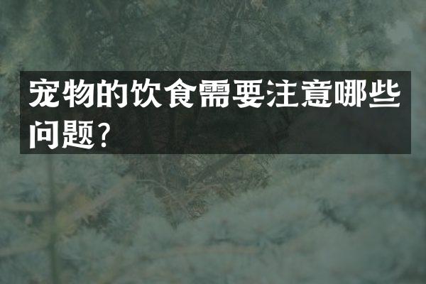 宠物的饮食需要注意哪些问题？