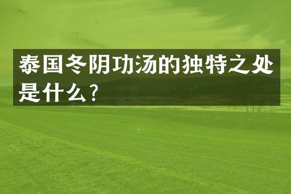 泰国冬阴功汤的独特之处是什么？