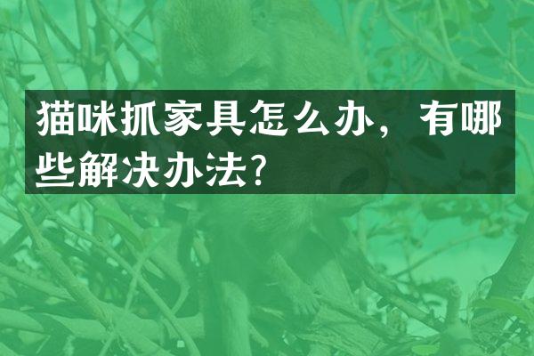 猫咪抓家具怎么办，有哪些解决办法？
