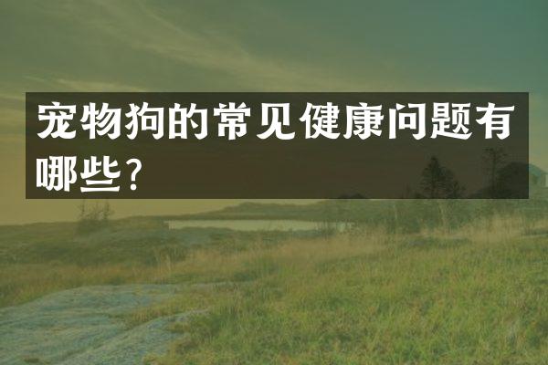 宠物狗的常见健康问题有哪些？