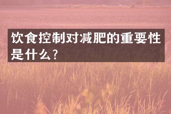 饮食控制对减肥的重要性是什么？
