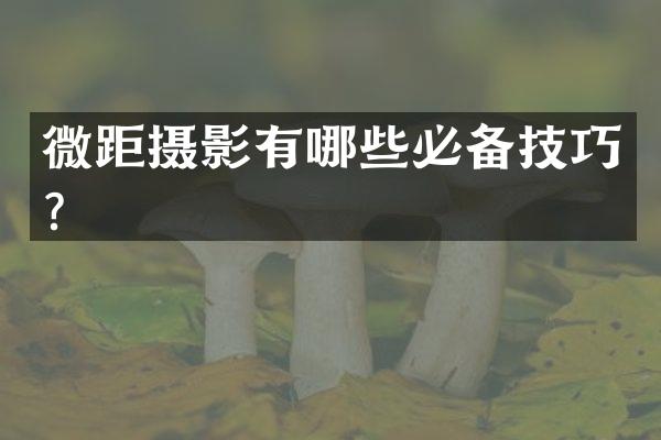 微距摄影有哪些必备技巧？
