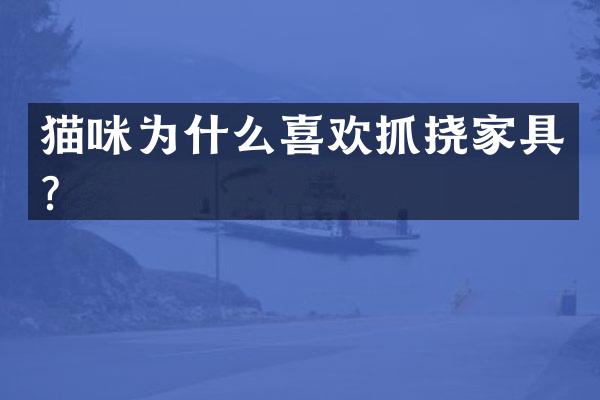 猫咪为什么喜欢抓挠家具？