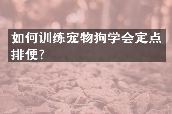 如何训练宠物狗学会定点排便？