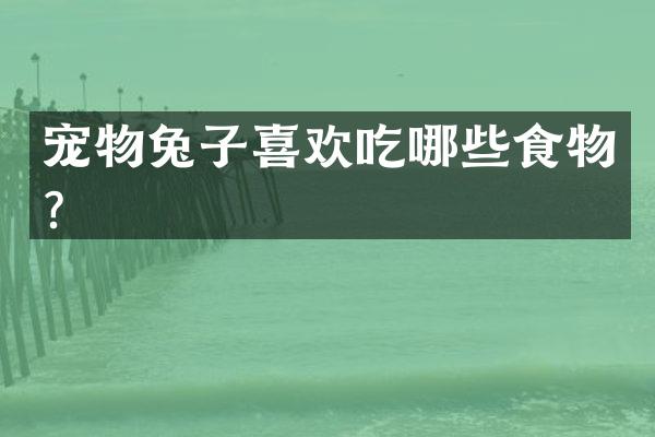 宠物兔子喜欢吃哪些食物？